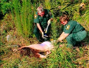 Monatelang hält ein Serienkiller Florida in Atem. Er stranguliert Prostituierte und lässt die Leichen weithin sichtbar liegen.