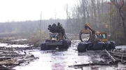 Two Clambunk Skidders at work.