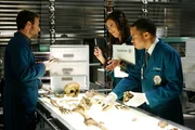 (v.li.) Dr. Jack Hodgins (TJ Thyne), Angela Montenegro (Michaela Conlin) und Clark Edison (Eugene Byrd) machen sich an die Untersuchung der sterblichen &Uuml;berreste, die Brennan und Booth aus England geschickt haben. Was werden sie herausfinden?