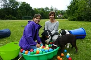 Hundetrainerin Constanze (rechts) gewöhnt im Bällebad die Welpen an ungewöhnliche Geräusche und Bewegungen. Je mehr sie kennenlernen, umso weniger schreckhaft sind die kleinen Hunde.
