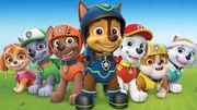 Die Welpen (v.l.) Skye, Rocky, Zuma, Chase, Marshall, Rubble und Everest gehören zur mutigen und cleveren Paw Patrol, die dringende Rettungseinsätze übernimmt. Mit ihren verschiedenen Fähigkeiten lösen sie jede Krise!