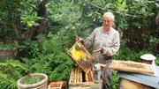 500 Kilo Honig pro Jahr produzieren Alke Zimmermanns Bienen auf dem „Fabelhof“ in Worpswede. 500 Kilo Honig pro Jahr produzieren Alke Zimmermanns Bienen auf dem „Fabelhof“ in Worpswede.