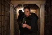 Als FBI-Agentin muss Kate (Emily Blunt) knallhart sein, denn im Drogenkrieg am Grenzsteifen zwischen Arizona und Mexiko zu &uuml;berleben, ist ein st&auml;ndiger Kampf, ums &Uuml;berleben