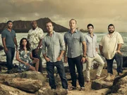 (9. Staffel) - Hawaii Five-0 - Artwork