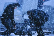 Eine obskure Opferung? Ein Hinrichtungsritual? Die Tat eines Irren? Die beiden Polizisten Max Kerkerian (Vincent Cassel, r.) und Pierre Ni&egrave;mans (Jean Reno, l.) stehen vor einem R&auml;tsel ...; Eine obskure Opferung? Ein Hinrichtungsritual? Die Tat eines Irren? Die beiden Polizisten Max Kerkerian (Vincent Cassel, r.) und Pierre Ni&egrave;mans (Jean Reno, l.) stehen vor einem R&auml;tsel ...