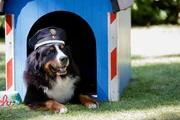 Kommissar Keks bereitet sich auf seine Weise auf die Fahndung nach dem Spiegel-Dieb vor.