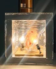 Auch kulinarisch hat Licht einiges zu bieten – Grubers "Licht-Huhn".
