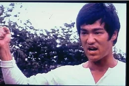 Cheng Chao-an (Bruce Lee)