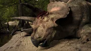 Der Triceratops, den Robert De Palma in Tanis fand, war bereits vor dem Einschlag tot. Der Triceratops, den Robert De Palma in Tanis fand, war bereits vor dem Einschlag tot.