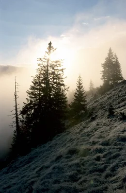 Gebirgslandschaft.