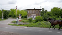 An manchen Ecken erscheint der Stadtrand von Halle wie ein Dorf.