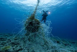 Bei der Arbeit im Chagos-Archipel sto&szlig;en die Forschenden auf einen Fischsammler &ndash; diese Strukturen im Wasser sollen Fische anlocken. Im Meeresschutzgebiet ist das absolut illegal.