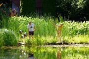 Ein wahres Naturparadies haben Ingrid und Alexander Moser im steirischen St. Marein im M&uuml;rztal zum Leben erweckt. Blickfang im 3500m&sup2; gro&szlig;en Garten ist der Schwimmteich, umrahmt von einer bl&uuml;henden Rosenhecke. Kunst ist f&uuml;r die beiden ein wichtiges Mittel, um den Garten optisch ansprechend zu vollenden.