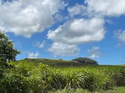 Auf dem "Piton de la D&eacute;couverte", dem "H&uuml;gel der Entdeckung", vermutete Daniel f&uuml;r kurze Zeit das Versteck des Piratenschatzes.