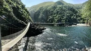 Blick auf die Suspension Bridge im Tsitsikamma National Park, die ber&uuml;hmteste H&auml;ngebr&uuml;cke an der Garden Route.