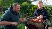 Reporter Simon Rustler beim Mahlen der Äpfel mit Daniel Scheidler (li.).