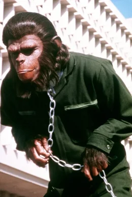 Nach au&szlig;en hin ein Sklave, bereitet C&auml;sar (/Roddy Mcdowall) insgeheim den Aufstand der unterdr&uuml;ckten Affen gegen die Menschen vor ...