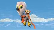 Flora (r.) versucht weiterhin, Koto zu stürzen, damit King Julien wieder König sein kann. Dazu ist ein erster Überblick von oben gar nicht mal schlecht.