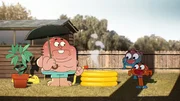 v.li.: Richard, Gumball, Darwin