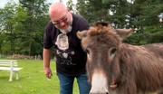 Der gesundheitlich angeschlagene Michael Pitsch, 57, aus Wuppertal lernt die Eselstute Lotte auf dem Eselhof Ruhresel in Hattingen kennen.