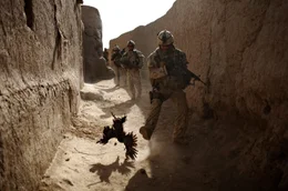 Salavat (Kandahar), Afghanistan, 2010: Ein kanadischer Soldat jagt ein Huhn Sekunden bevor seine Einheit von Granaten beschossen wird.