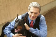 Endlich hat Schmidt (Walter Sittler) gefunden, wonach er sich schon lange gesehnt hat: Ein Partner, der ihm bedingungslos folgt, nie Widerworte gibt und ihm immer treu ergeben ist. Es handelt sich um den Dobermann C&auml;sar von Adelmann...