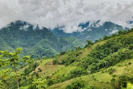 Das VRAEM-Tal in Peru ist weltweit als "Tal des Kokains" ber&uuml;hmt und ber&uuml;chtigt. Ein Gro&szlig;teil des peruanischen Kokains stammt von hier.