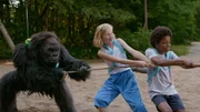 Benedict, Lena und Dante (von li nach re: Yaron Mesika, Isa Jansen, Benjamin Mukadi Kanda van de Kamp). sind als Team unschlagbar.