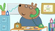 Dr. Brown Bear