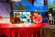 Woozle und Simón müssen auf ein Fernsehstudio in den Bergen von Woozlingen ausweichen. Dort treffen sie auf einen Bären. Woozle und Simón müssen auf ein Fernsehstudio in den Bergen von Woozlingen ausweichen. Dort treffen sie auf einen Bären.