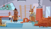 Als Kampfsportler zählt das Känguru zu den Verdächtigen.