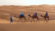 Bis heute ziehen Beduinen als Nomaden durch die Sahara, wobei Dromedare ihre unentbehrlichen Begleiter sind.