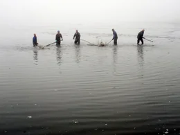 Wo einst hohe Gebirge aus den Urmeeren emporragten und heute eine sanfte, h&uuml;gelige Landschaft das n&ouml;rdliche Waldviertel pr&auml;gen, entspringt ein Fluss, der bis zu seiner M&uuml;ndung in die Donau eine faszinierende Vielfalt an geologischen Gegebenheiten durchflie&szlig;t: der Kamp. Es ist die Lebensader f&uuml;r eine vielf&auml;ltige Flora und Fauna, aber auch f&uuml;r die Menschen, die hier im Lauf der Zeit eine spezifische Lebenskultur entwickelt haben. Der Film verfolgt den Fluss im Wandel der Jahreszeiten - eine spannende Reise durch ein faszinierendes Tal und seine Geschichte.