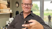 Entomologe Dirk Rohwedder mit einem Xylotrupes Gideon, einem "Braunen Nashornkäfer" auf der Hand.