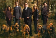 (4. Staffel) - Die Spezialeinheit des FBI f&uuml;r vermisste Personen im Einsatz (v.l.n.r.): Vivian (Marianne Jean-Baptiste), Martin (Eric Close), Jack (Anthony LaPaglia), Samantha (Poppy Montgomery) und Danny (Enrique Murciano)
