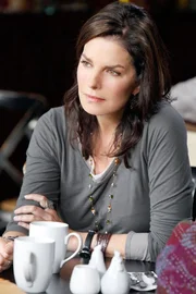 Schon seit Jahren ist Detective Jo Danville (Sela Ward) hinter einem Serienvergewaltiger her, der jedoch immer wieder auf Kaution frei kommt.