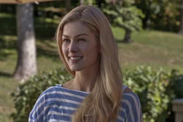 F&uuml;r die Menschen in ihrer Umgebung f&uuml;hrt Amy (Rosamund Pike) ein gl&uuml;ckliches und sorgenfreies Leben. Eines Tages jedoch verschwindet die junge Frau spurlos ...