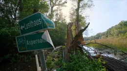 Erlebnis &Ouml;sterreich: "Wiener Wildnis. Die R&uuml;ckkehr der Biber", Alte Donau, Neue Donau, Praterauen: Feuchtgebiete mitten in Wien - Erholungsraum f&uuml;r Menschen und Lebensraum f&uuml;r seltene Tiere und Pflanzen. Ein Reich voller Geheimnisse. Vor einigen Jahren ist ein Tier in die Stadt zur&uuml;ckgekehrt. Versteckt unter Wasser und an kaum zug&auml;nglichen Ufern hat es neuen Platz f&uuml;r Flora und Fauna geschaffen: der Biber. Ein Film von Thomas Rilk f&uuml;r das Landesstudio Wien  SENDUNG: ORF3 - DI - 24.03.2020 - 12:35 UHR. - Veroeffentlichung fuer Pressezwecke honorarfrei ausschliesslich im Zusammenhang mit oben genannter Sendung oder Veranstaltung des ORF bei Urhebernennung.
