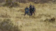 Patagonien – Wunderwelt der Extreme  Ein Jahr in der Wildnis  Filmcrew filmt Puma. Patagonien – Wunderwelt der Extreme  Ein Jahr in der Wildnis  Filmcrew filmt Puma.
