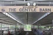 The entrance sign to the Gentle Barn.
