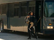 Getrennt von ihrem Mann, flieht Allison (Morena Baccarin) mit S&ouml;hnchen Nathan (Roger Dale Floyd) auf dem Arm vor der Katastrophe.