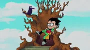 Robin