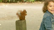 Eichhörnchen. Eichhörnchen.