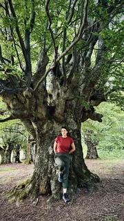 Uralte Bäume: In Transsilvanien gibt es Buchen, die mehr als 500 Jahre alt sind. Im Bild: Hannah Emde.