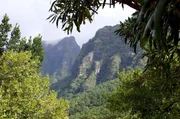 Universum: "Die schönsten Plätze der Welt - Madeira - Smaragd im Atlantik"