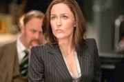 Agent Pamela Thornton (Gillian Anderson)