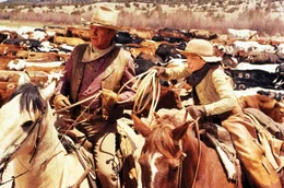 Nicht nur den Umgang mit dem Lasso muss Wil Andersen (John Wayne, l.) seinen jungen Sch&uuml;lern beibringen ...