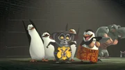 Vorne, l-r: Kowalski, Skipper, Maurice, Rico, Private