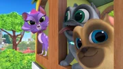 L-R: Hissy (voiced by Jessica DiCicco), Bingo (voiced by Issac Ryan Brown), Rolly (voiced by Sam Lavagnino