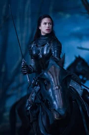 stars in Screen Gems' action thriller UNDERWORLD: RISE OF THE LYCANS.
